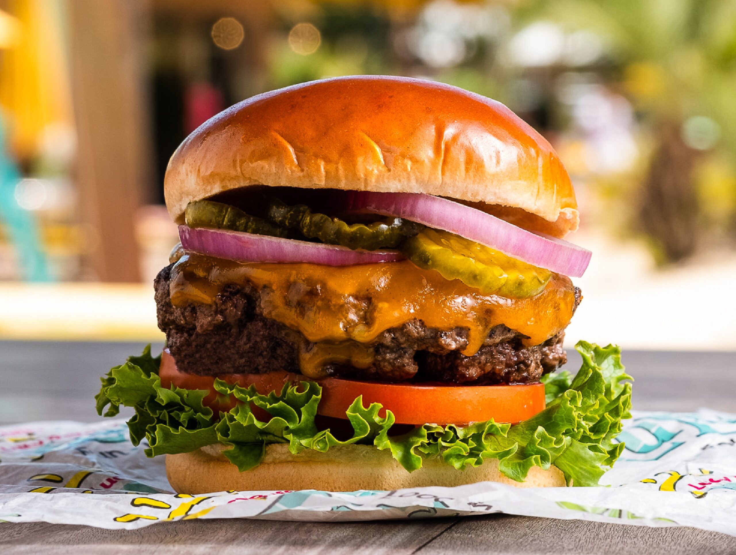 Cheeseburger_MikeBuckLORez_1